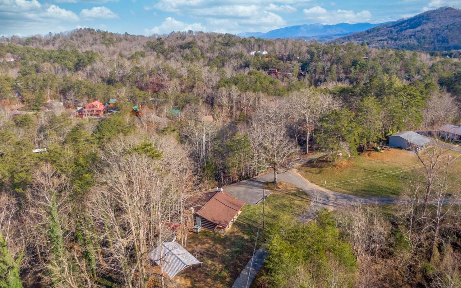 Wooded Bliss Hot Tub Single Level Cabin With No Steps Rocking Chairs And Wooded Views Pigeon Forge Exteriér fotografie